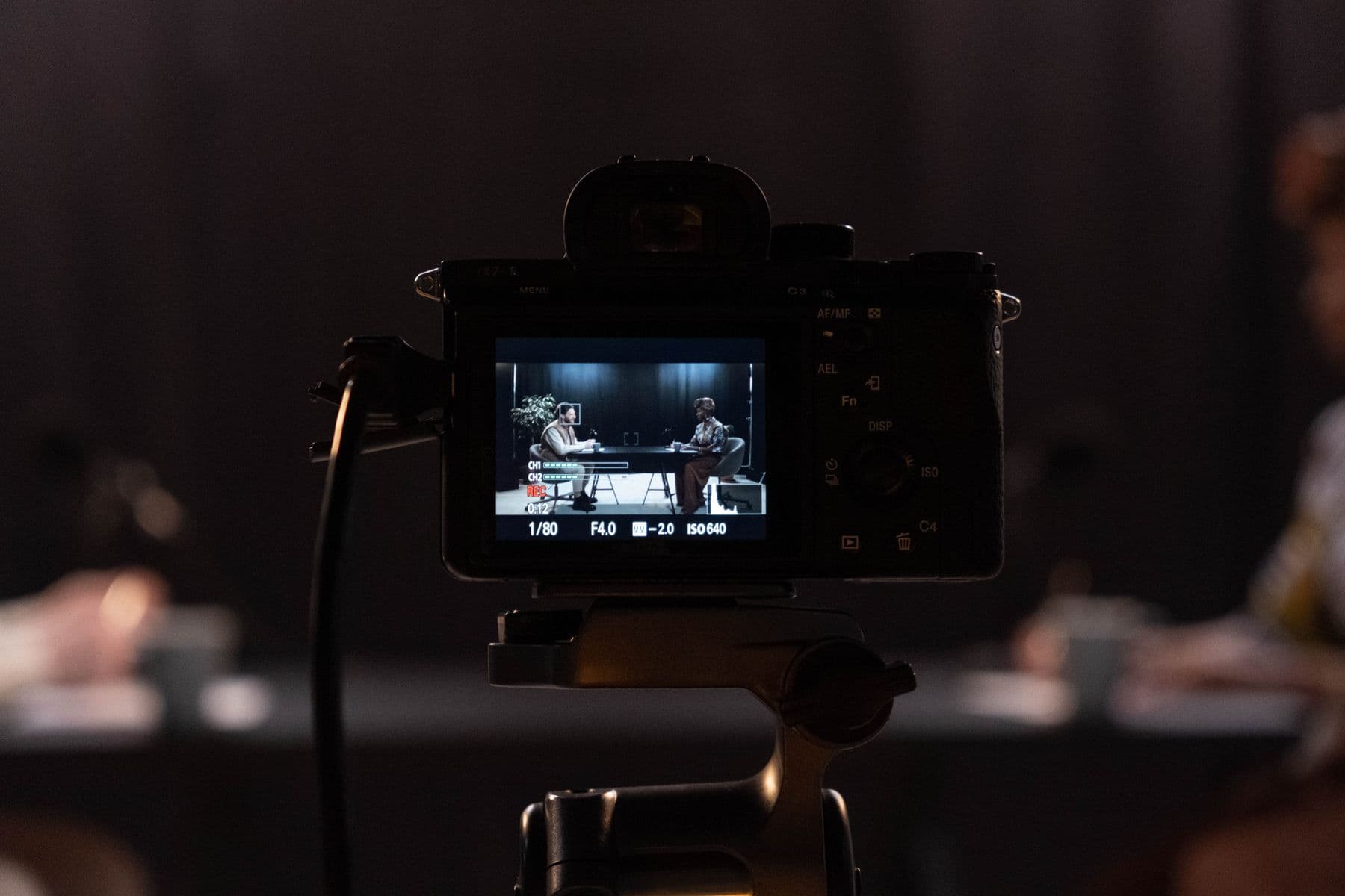 Television camera monitor in a production environment